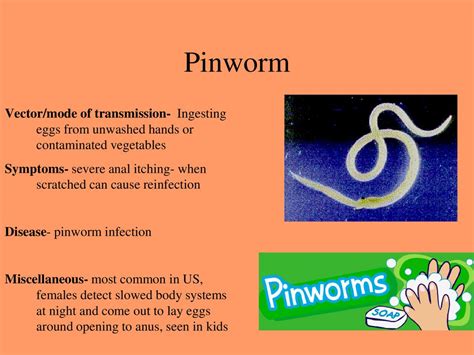 Some newborn babies have their days and nights mixed up they sleep during the day and want to play at night. . Can you feel pinworms moving during the day